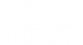 SVBS Sachverständigenbüro Boris Slawjinski in Weinheim, Logo
